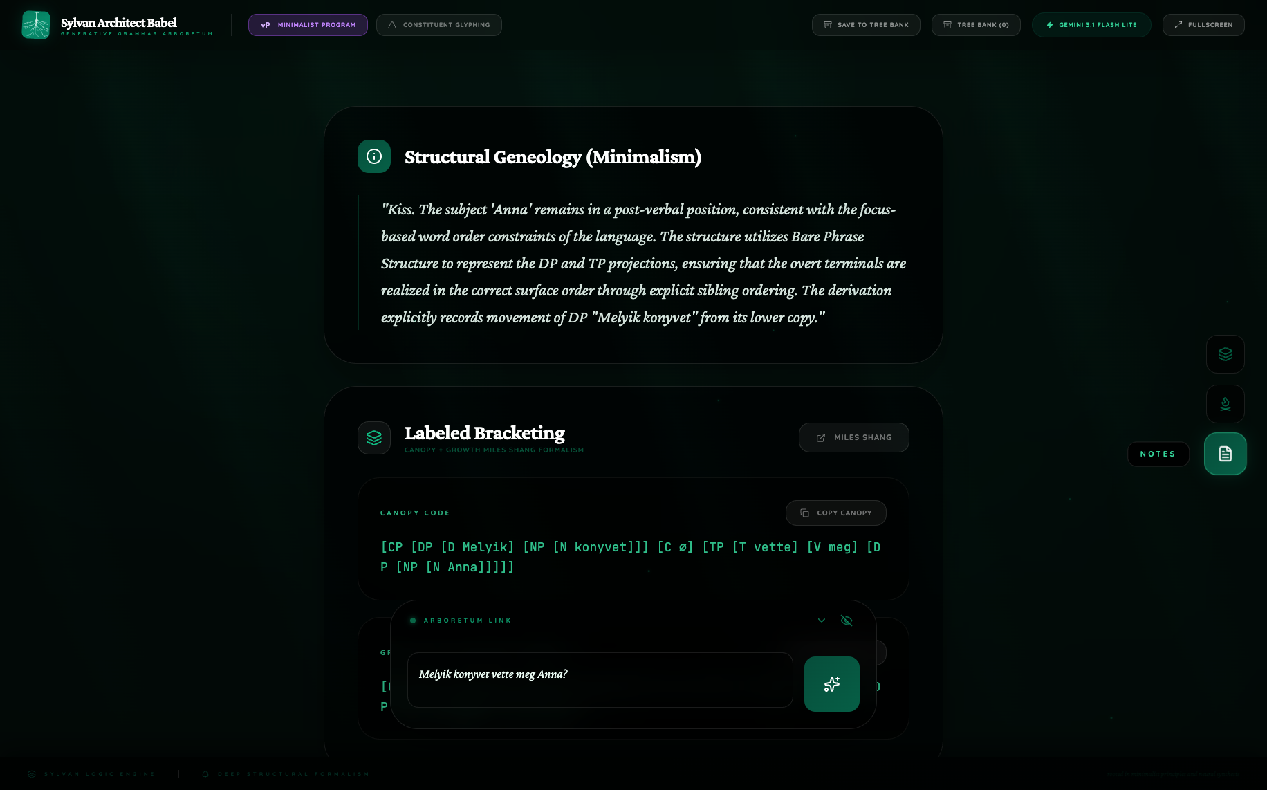 Flash Lite Hungarian notes